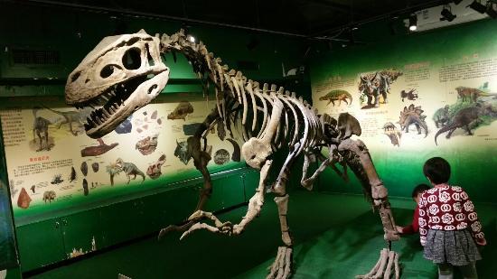 Zhuhai Museum